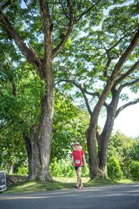 BIB: 
                            <button type="button" onclick="openModal(26545964)" class="btn btn-primary btn-sm float-right btn-popup" data-toggle="modal" data-target=".modal-high-quality">
                        <i class="fas fa-shopping-cart"></i> Add to Cart
                    </button>
                                            <button type="button" onclick="isThisMe(26545964, true)" class="btn btn-success btn-sm float-right btn-popup btn-isme hidden" data-toggle="tooltip" data-placement="bottom" title="นี่คือรูปของคุณใช่ไหม คลิกที่นี่เพื่อเอาเข้าอัลบั้ม">
                        <i class="fas fa-plus"></i> Add to album
                    </button>
                    <button type="button" onclick="isThisMe(26545964, false)" class="btn btn-warning btn-sm float-right btn-popup btn-isnotme hidden">
                        <i class="fas fa-ban"></i> Remove from album
                    </button>